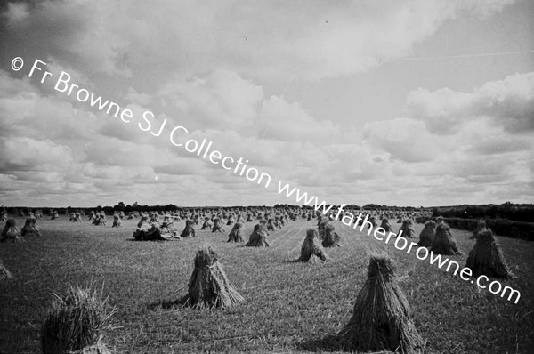 THRESHING AT ST MARYS